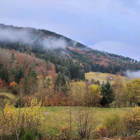 Relax Chalet: Luxurious Paradise On 3 Hectares Near La Bresse Chalet Basse-sur-le-Rupt