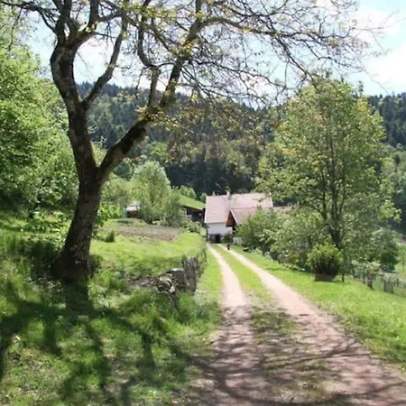 Relax Nature Retreat - Isole Sur 3 Hectares - Confort De Luxe - Maison Entiere 150m2 - Pres De La Bresse * Basse-sur-le-Rupt