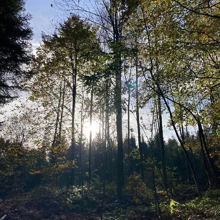 Relax Nature Retreat - Isole Sur 3 Hectares - Confort De Luxe - Maison Entiere 150m2 - Pres De La Bresse Alpehytte *