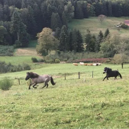 Relax Nature Retreat - Isole Sur 3 Hectares - Confort De Luxe - Maison Entiere 150m2 - Pres De La Bresse