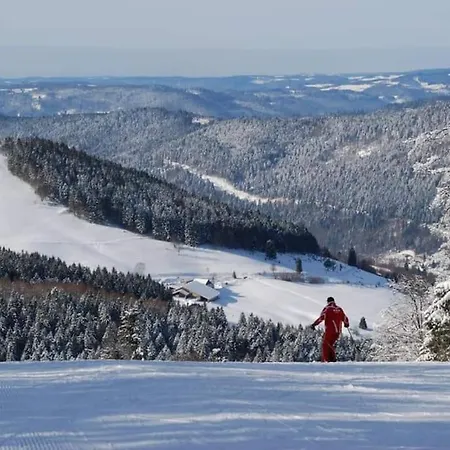 Relax Nature Retreat - Isole Sur 3 Hectares - Confort De Luxe - Maison Entiere 150m2 - Pres De La Bresse Chalet Basse-sur-le-Rupt