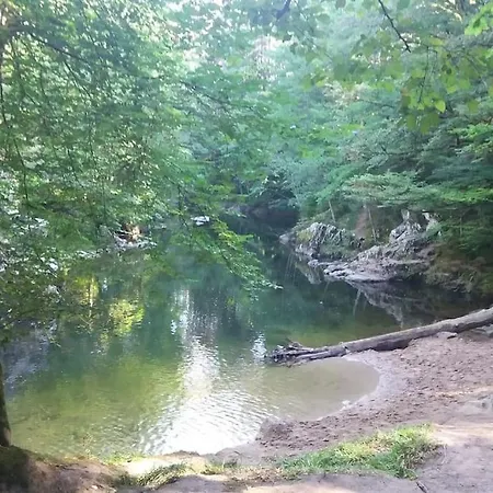 Relax Nature Retreat - Isole Sur 3 Hectares - Confort De Luxe - Maison Entiere 150m2 - Pres De La Bresse Chalet *