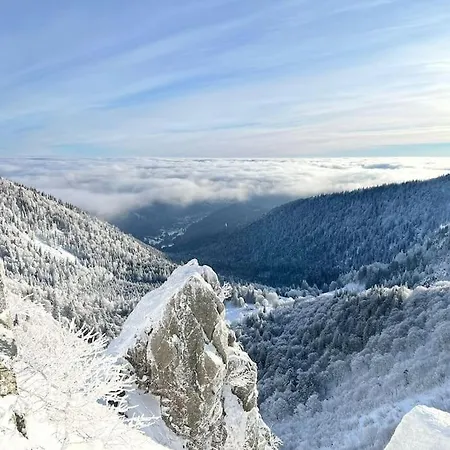 Relax Nature Retreat - Isole Sur 3 Hectares - Confort De Luxe - Maison Entiere 150m2 - Pres De La Bresse Chalet