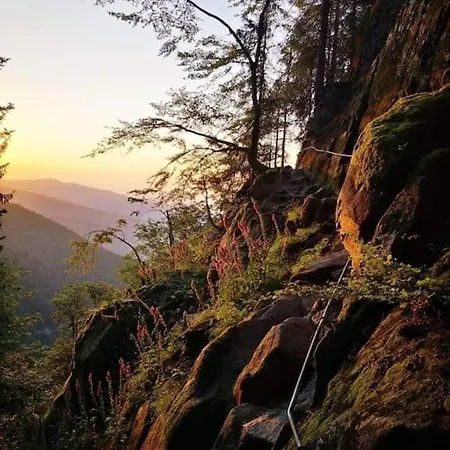 Chalet Relax Nature Retreat - Isole Sur 3 Hectares - Confort De Luxe - Maison Entiere 150m2 - Pres De La Bresse