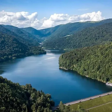 Relax Nature Retreat - Isole Sur 3 Hectares - Confort De Luxe - Maison Entiere 150m2 - Pres De La Bresse Alpehytte *