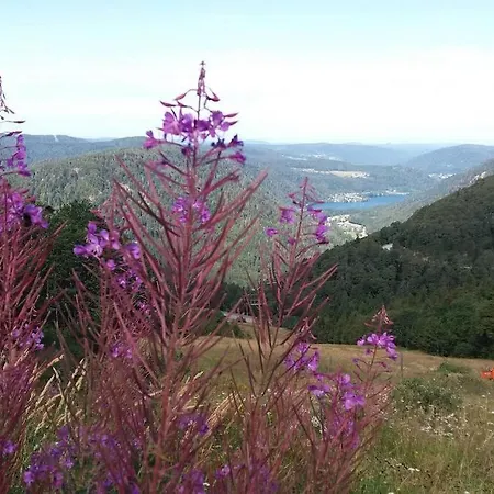 Relax Nature Retreat - Isole Sur 3 Hectares - Confort De Luxe - Maison Entiere 150m2 - Pres De La Bresse Chalet Basse-sur-le-Rupt