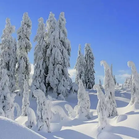 Relax Nature Retreat - Isole Sur 3 Hectares - Confort De Luxe - Maison Entiere 150m2 - Pres De La Bresse *