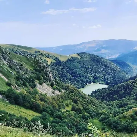 Chalet Relax Nature Retreat - Isole Sur 3 Hectares - Confort De Luxe - Maison Entiere 150m2 - Pres De La Bresse Basse-sur-le-Rupt