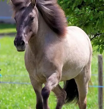 Chalet Relax Nature Retreat - Isole Sur 3 Hectares - Confort De Luxe - Maison Entiere 150m2 - Pres De La Bresse *