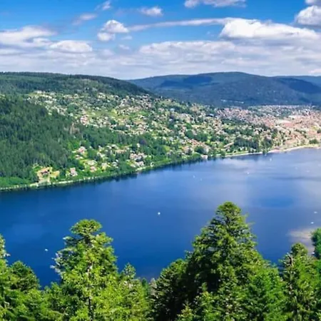 Chalet Relax Nature Retreat - Isole Sur 3 Hectares - Confort De Luxe - Maison Entiere 150m2 - Pres De La Bresse *