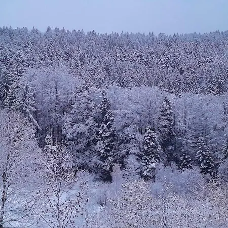 Relax Nature Retreat - Isole Sur 3 Hectares - Confort De Luxe - Maison Entiere 150m2 - Pres De La Bresse *