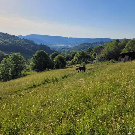 Relax Chalet: Luxurious Paradise On 3 Hectares Near La Bresse Chalet *