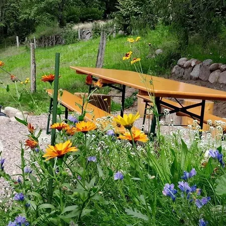 Chalet Relax Chalet: Luxurious Paradise On 3 Hectares Near La Bresse