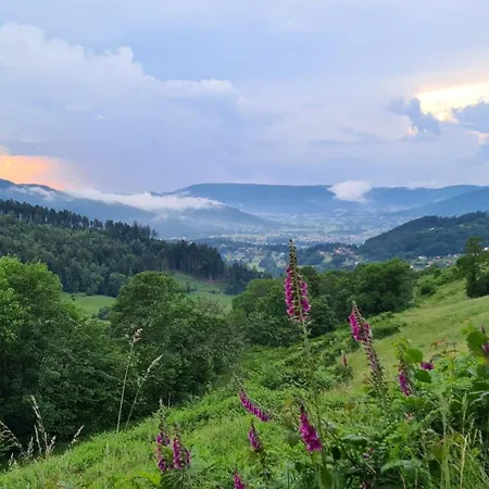 Relax Chalet: Luxurious Paradise On 3 Hectares Near La Bresse Basse-sur-le-Rupt