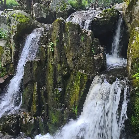 Chalet Relax Nature Retreat - Isole Sur 3 Hectares - Confort De Luxe - Maison Entiere 150m2 - Pres De La Bresse Basse-sur-le-Rupt