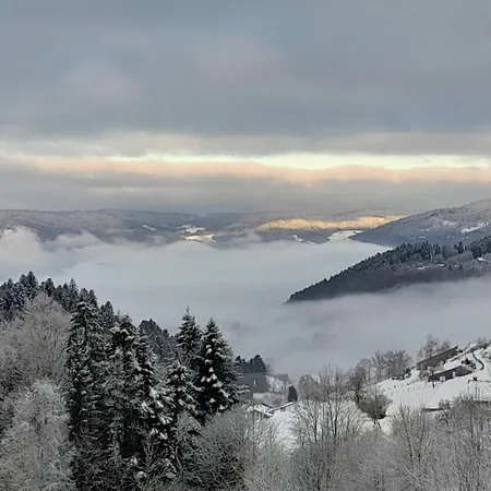 Chalet Relax Chalet: Luxurious Paradise On 3 Hectares Near La Bresse *