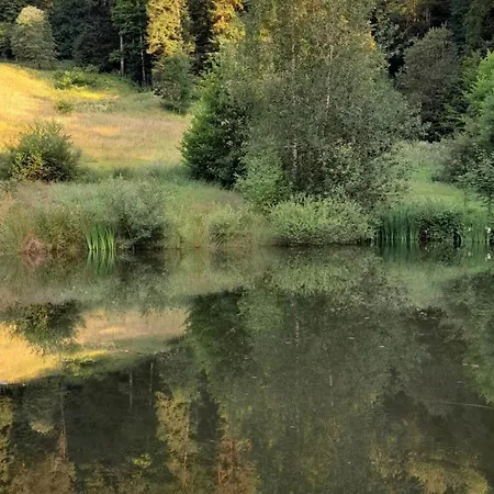 Relax Nature Retreat - Isole Sur 3 Hectares - Confort De Luxe - Maison Entiere 150m2 - Pres De La Bresse