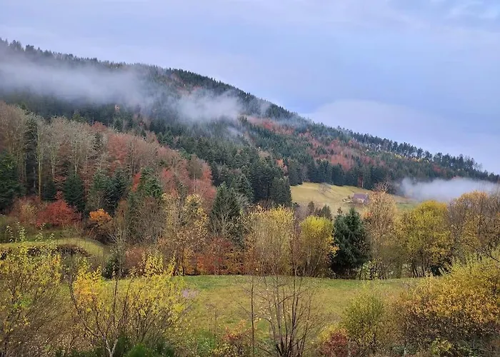 Relax Nature Retreat - Isole Sur 3 Hectares - Confort De Luxe - Maison Entiere 150m2 - Pres De La Bresse Horská chata Basse-sur-le-Rupt