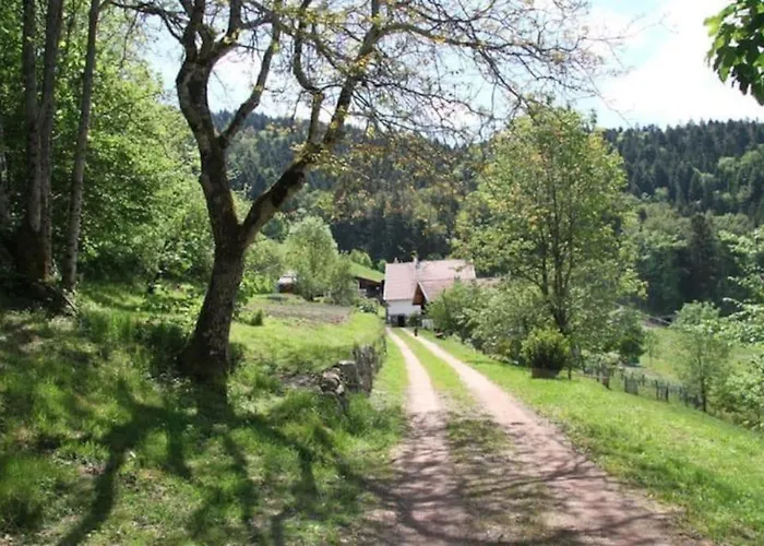 Relax Nature Retreat - Isole Sur 3 Hectares - Confort De Luxe - Maison Entiere 150m2 - Pres De La Bresse * Basse-sur-le-Rupt