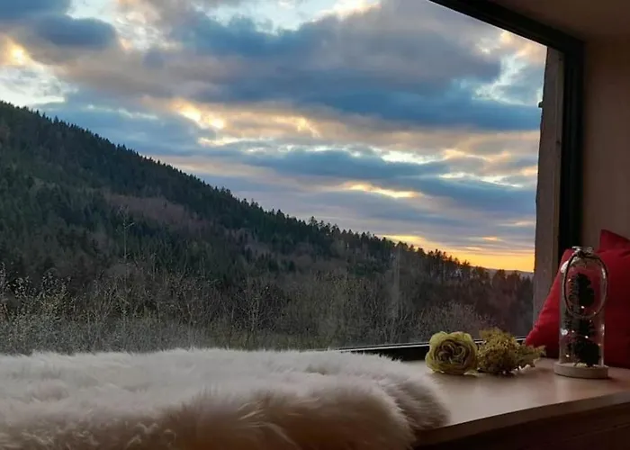 Relax Nature Retreat - Isole Sur 3 Hectares - Confort De Luxe - Maison Entiere 150m2 - Pres De La Bresse Horská chata Basse-sur-le-Rupt