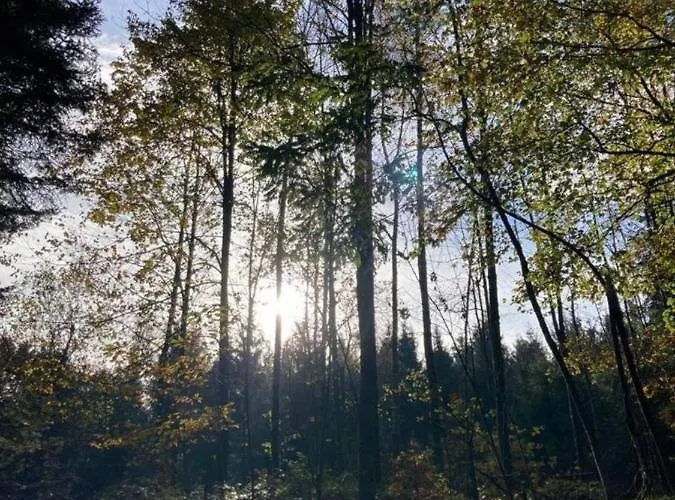 Relax Nature Retreat - Isole Sur 3 Hectares - Confort De Luxe - Maison Entiere 150m2 - Pres De La Bresse Horská chata *