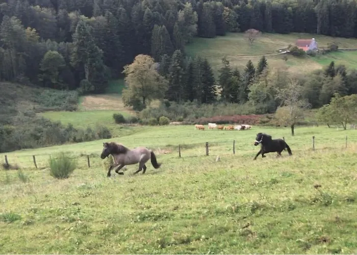 Relax Nature Retreat - Isole Sur 3 Hectares - Confort De Luxe - Maison Entiere 150m2 - Pres De La Bresse