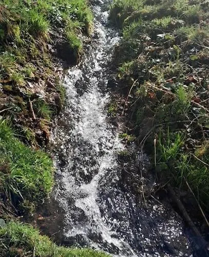 Relax Nature Retreat - Isole Sur 3 Hectares - Confort De Luxe - Maison Entiere 150m2 - Pres De La Bresse Horská chata