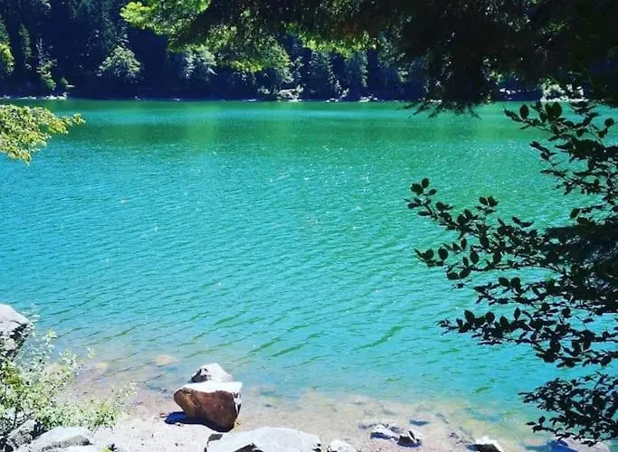 Horská chata Relax Nature Retreat - Isole Sur 3 Hectares - Confort De Luxe - Maison Entiere 150m2 - Pres De La Bresse Basse-sur-le-Rupt