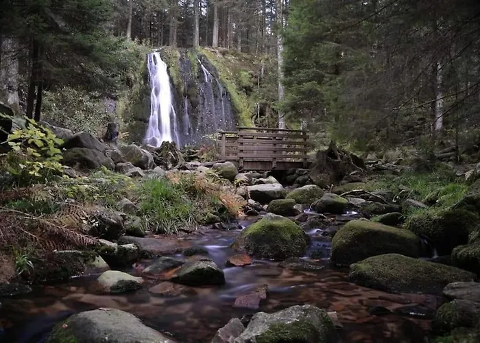 Relax Nature Retreat - Isole Sur 3 Hectares - Confort De Luxe - Maison Entiere 150m2 - Pres De La Bresse