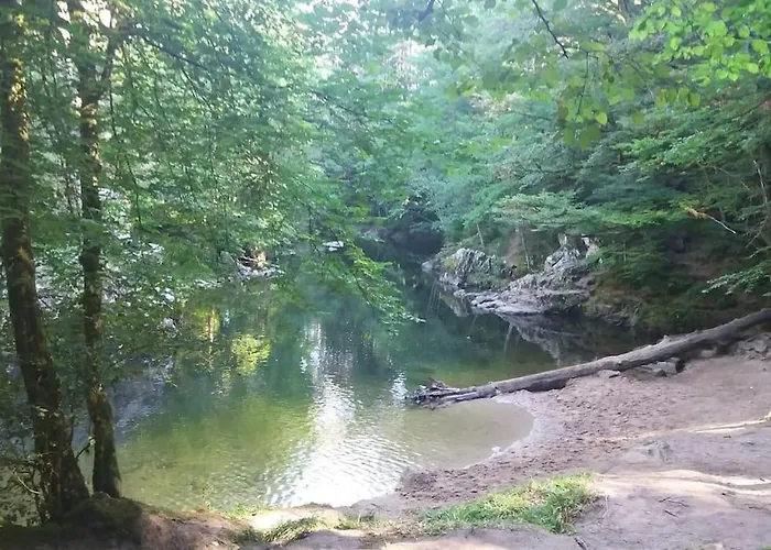 Relax Nature Retreat - Isole Sur 3 Hectares - Confort De Luxe - Maison Entiere 150m2 - Pres De La Bresse Horská chata *