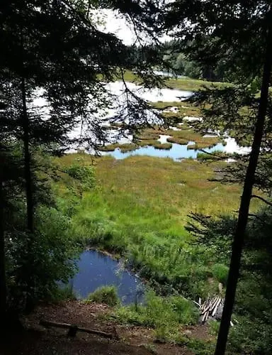 Horská chata Relax Nature Retreat - Isole Sur 3 Hectares - Confort De Luxe - Maison Entiere 150m2 - Pres De La Bresse Basse-sur-le-Rupt