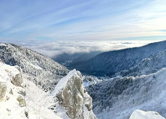 Relax Nature Retreat - Isole Sur 3 Hectares - Confort De Luxe - Maison Entiere 150m2 - Pres De La Bresse Horská chata