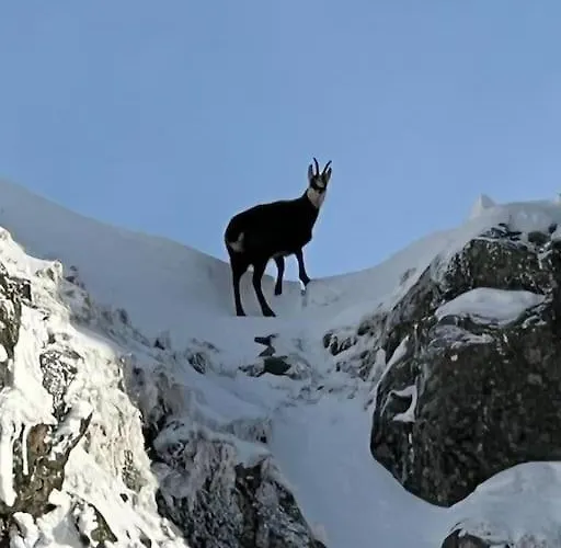 Relax Nature Retreat - Isole Sur 3 Hectares - Confort De Luxe - Maison Entiere 150m2 - Pres De La Bresse Horská chata