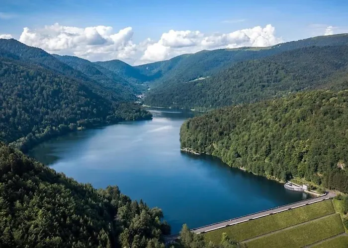 Relax Nature Retreat - Isole Sur 3 Hectares - Confort De Luxe - Maison Entiere 150m2 - Pres De La Bresse Horská chata *