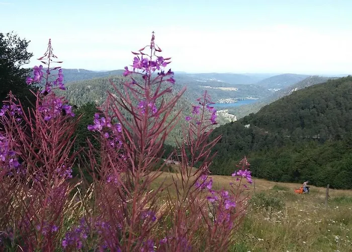 Relax Nature Retreat - Isole Sur 3 Hectares - Confort De Luxe - Maison Entiere 150m2 - Pres De La Bresse Horská chata Basse-sur-le-Rupt