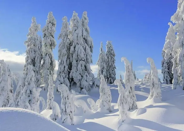 Relax Nature Retreat - Isole Sur 3 Hectares - Confort De Luxe - Maison Entiere 150m2 - Pres De La Bresse *