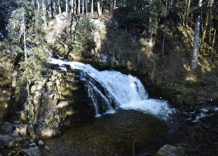 Relax Nature Retreat - Isole Sur 3 Hectares - Confort De Luxe - Maison Entiere 150m2 - Pres De La Bresse