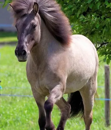 Horská chata Relax Nature Retreat - Isole Sur 3 Hectares - Confort De Luxe - Maison Entiere 150m2 - Pres De La Bresse *