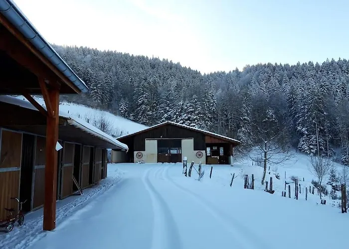 Relax Nature Retreat - Isole Sur 3 Hectares - Confort De Luxe - Maison Entiere 150m2 - Pres De La Bresse *