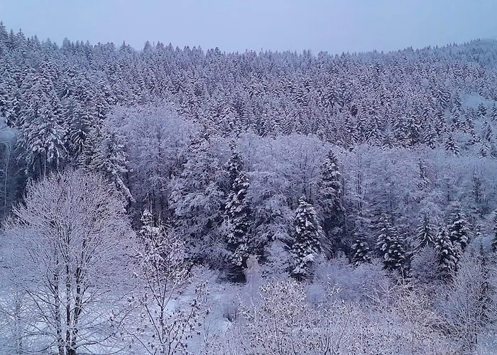 Relax Nature Retreat - Isole Sur 3 Hectares - Confort De Luxe - Maison Entiere 150m2 - Pres De La Bresse *