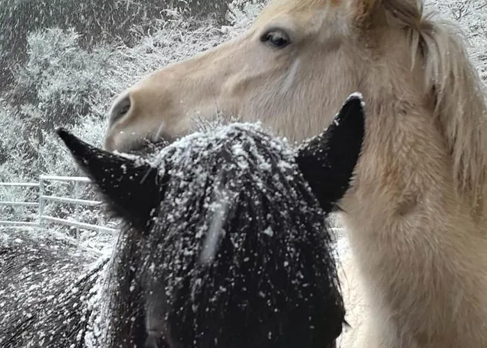 Horská chata Relax Nature Retreat - Isole Sur 3 Hectares - Confort De Luxe - Maison Entiere 150m2 - Pres De La Bresse *