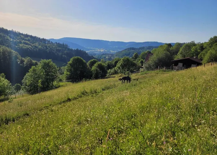Relax Nature Retreat - Isole Sur 3 Hectares - Confort De Luxe - Maison Entiere 150m2 - Pres De La Bresse Horská chata *