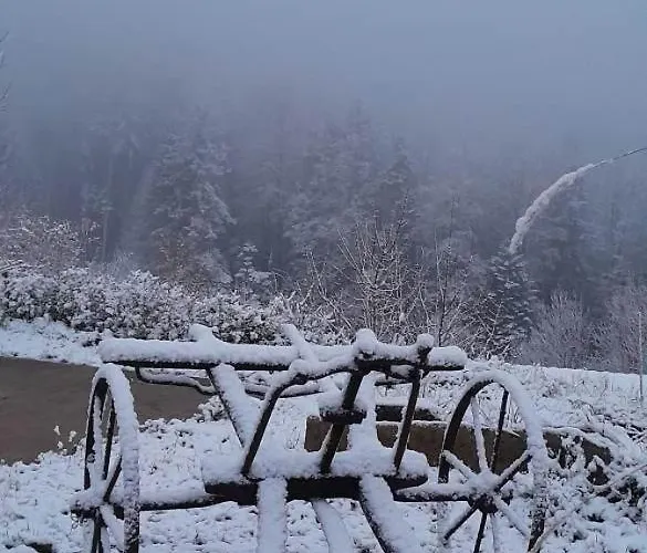 Horská chata Relax Nature Retreat - Isole Sur 3 Hectares - Confort De Luxe - Maison Entiere 150m2 - Pres De La Bresse *