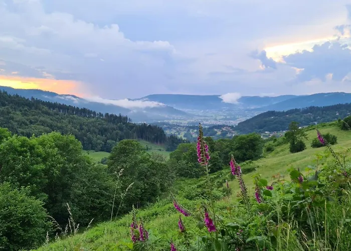 Relax Nature Retreat - Isole Sur 3 Hectares - Confort De Luxe - Maison Entiere 150m2 - Pres De La Bresse Basse-sur-le-Rupt