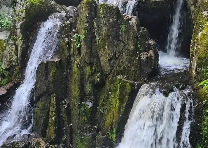 Horská chata Relax Nature Retreat - Isole Sur 3 Hectares - Confort De Luxe - Maison Entiere 150m2 - Pres De La Bresse Basse-sur-le-Rupt