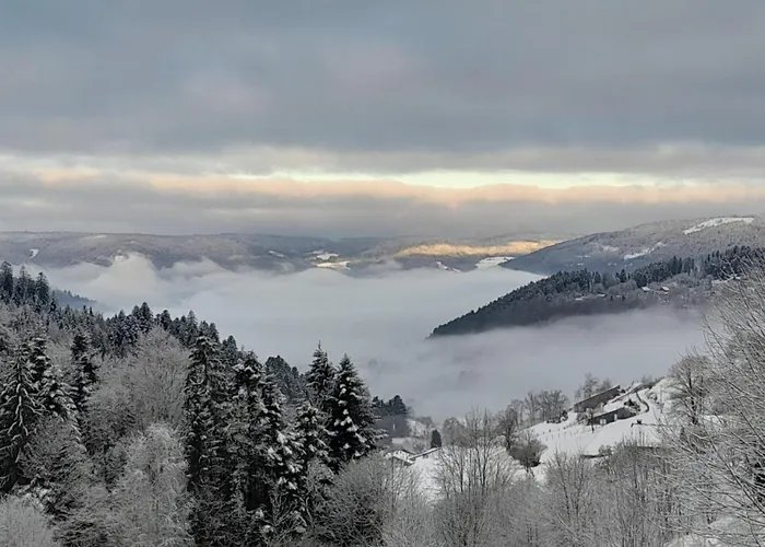 Horská chata Relax Nature Retreat - Isole Sur 3 Hectares - Confort De Luxe - Maison Entiere 150m2 - Pres De La Bresse *